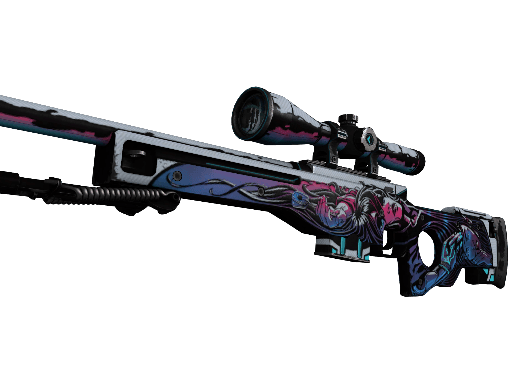 CS2 Item 8